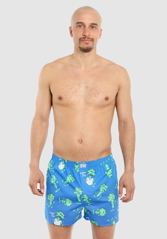 Lousy Livin Boxershorts 'Avocado & Broccoli' in Blau: predná strana