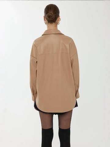 Hiccup Blouse in Brown
