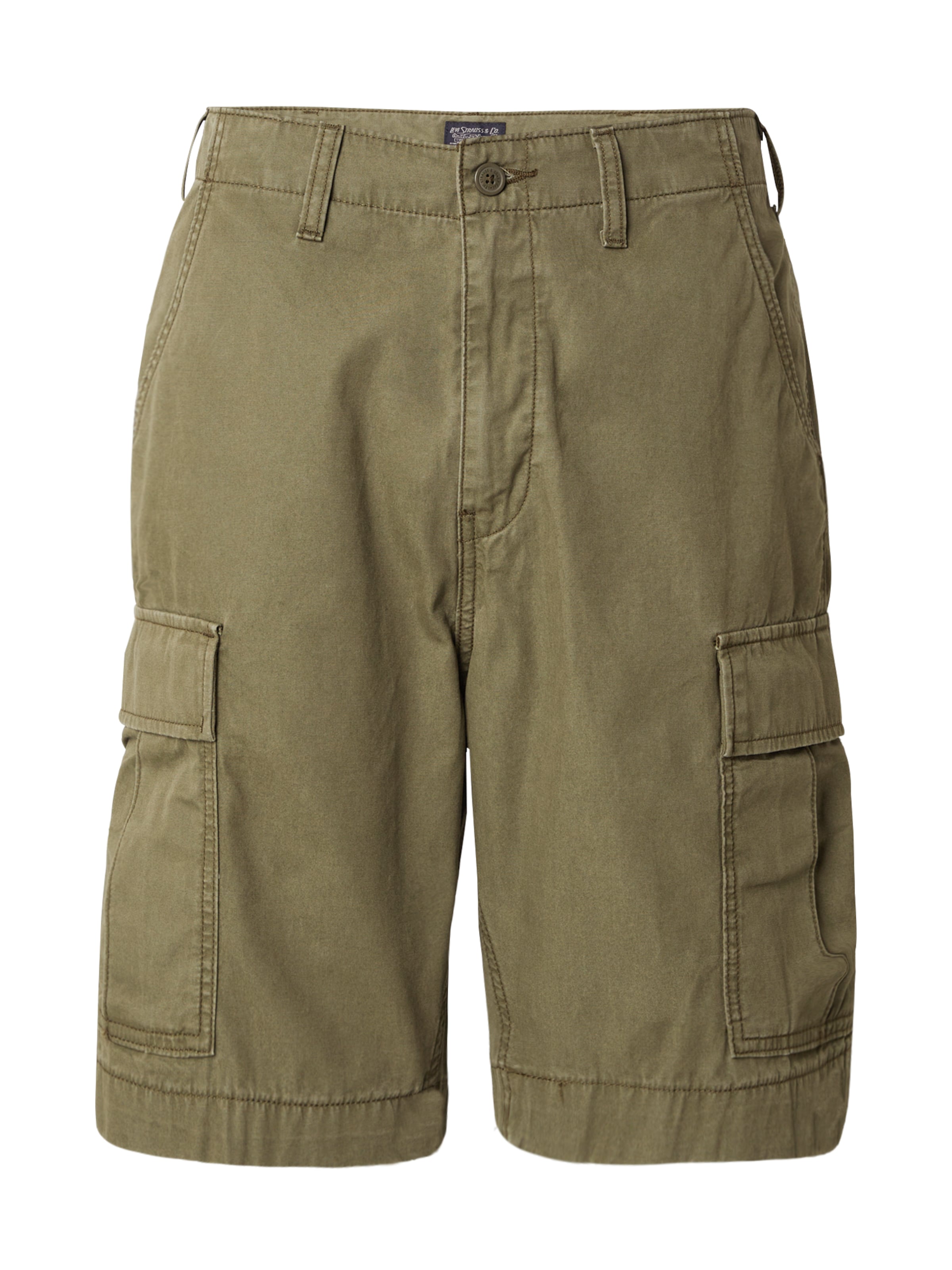 žalia LEVI'S ® Laisvo stiliaus kelnės 'Carrier Cargo Shorts': priekis