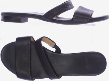 LANIUS Sandals & High-Heeled Sandals in 37 in Black: front