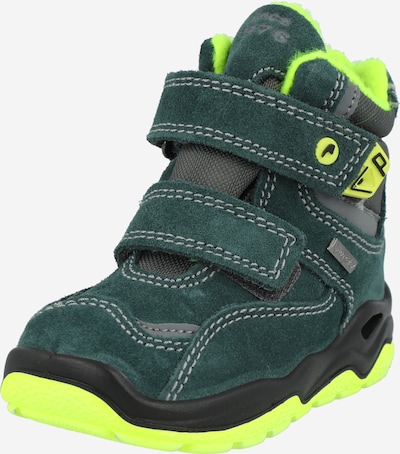Boots da neve PRIMIGI di colore grigio / verde neon / verde scuro, Visualizzazione prodotti