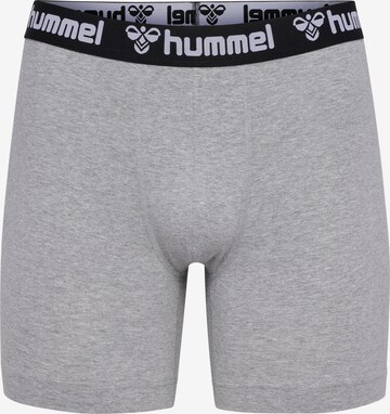 Hummel Boxershorts 'BOXERS' in Grau
