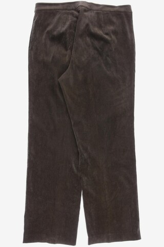 SAMOON Pants in XXXL in Brown