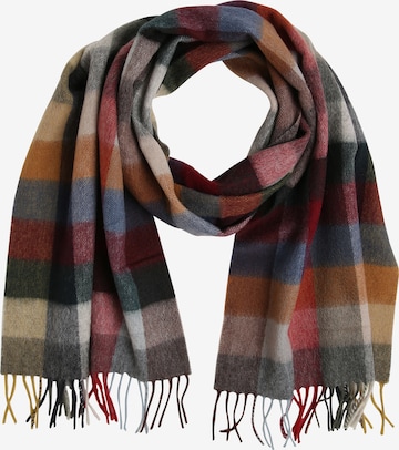 Andrew James Scarf in Mixed colors: front