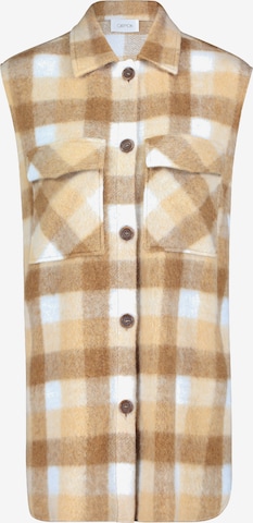 Cartoon Vest in Brown: front