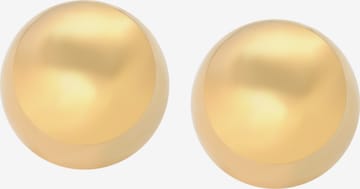 faina Korvakoru värissä kulta: etupuoli