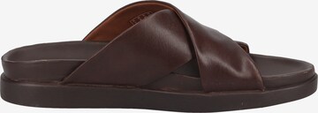 CLARKS Pantolette in Braun