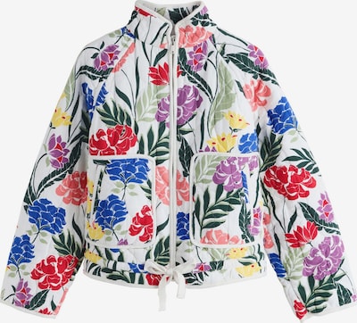 Next Přechodná bunda - modrá / jedle / tmavě červená / bílá, Produkt