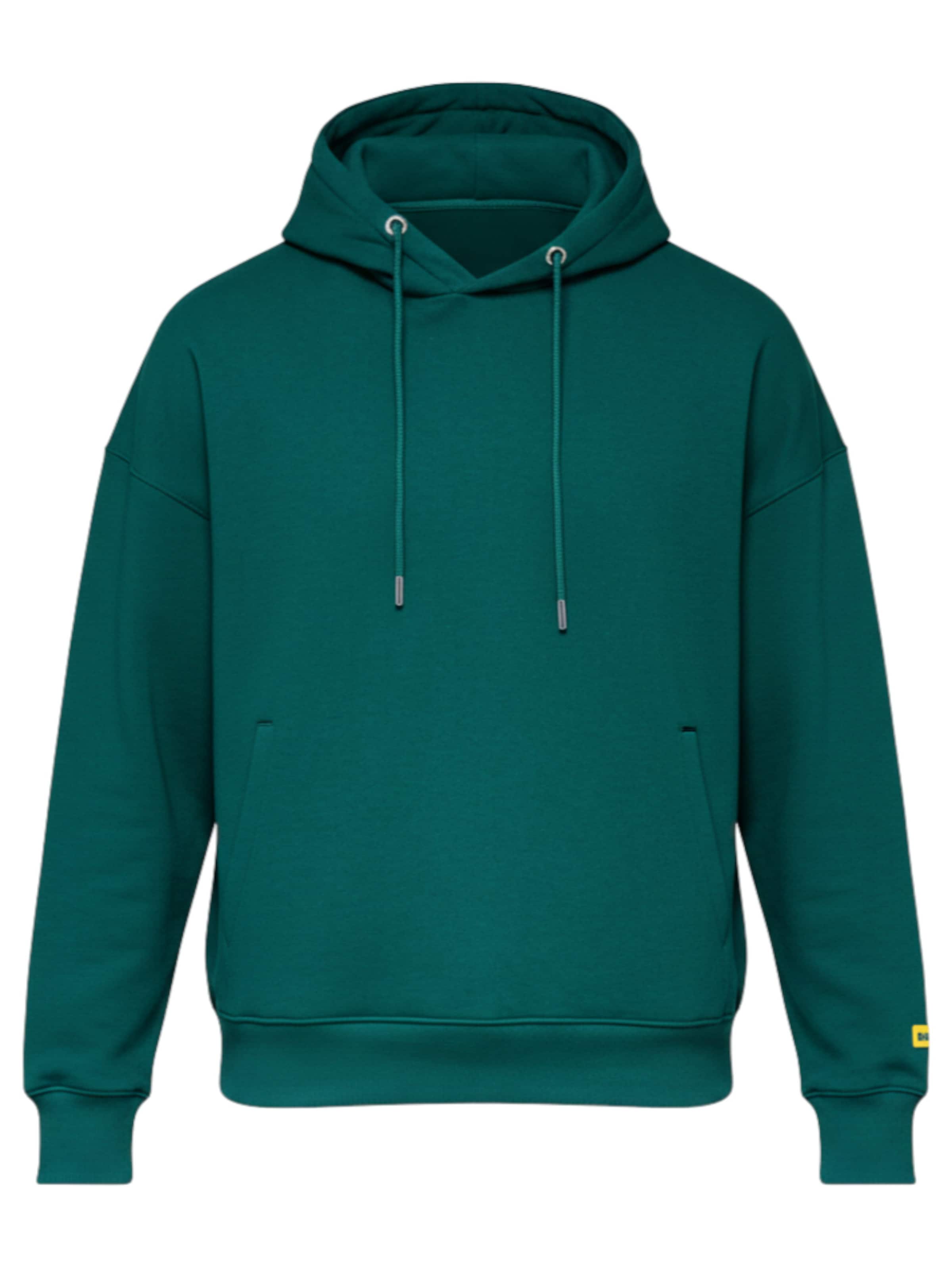 Ombre Sweatshirt 'OU-SNBC-0105' in Green: front