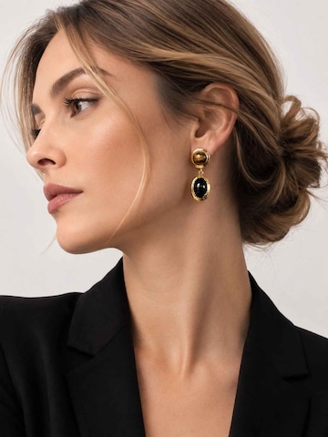 RteRmeNaušnice 'Spectral Tiger Eye & Obsidian Drop Earrings' - zlatna boja