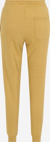 CONVERSE Tapered Hose in Braun