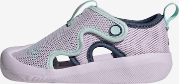 ADIDAS SPORTSWEAR - Zapatos abiertos 'Altaventure 3' en lila: frente
