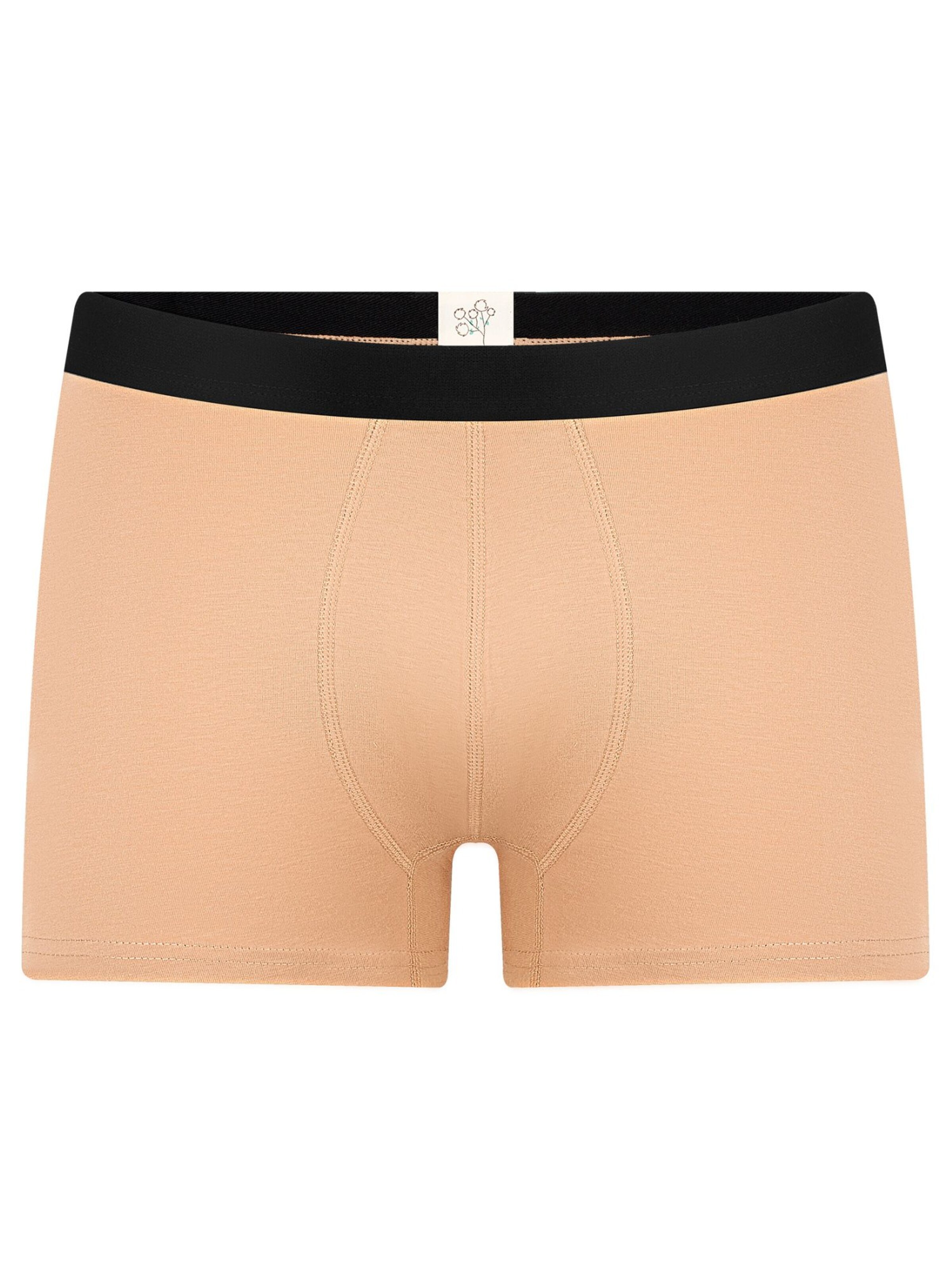Albero Natur Boxershorts 'Herren Trunkshorts aus Bio-Baumwolle'‌‌ in Braun: Vorderseite