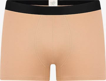Albero Natur Boxershorts 'Herren Trunkshorts aus Bio-Baumwolle' in Braun: Vorderseite