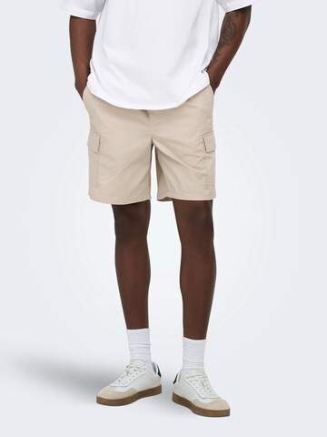 Only & Sons Regular Cargo Pants 'ONSKAL' in Grey: front