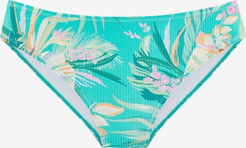 mėlyna VENICE BEACH Bikinio kelnaitės: priekis