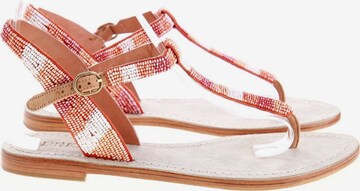 dream Sandals & High-Heeled Sandals in 36 in Mixed colors