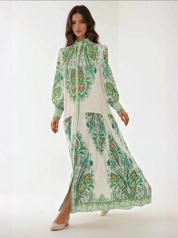 Hiccup Kleid in Grün