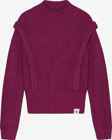 Pull-over Calvin Klein Jeans en violet : devant