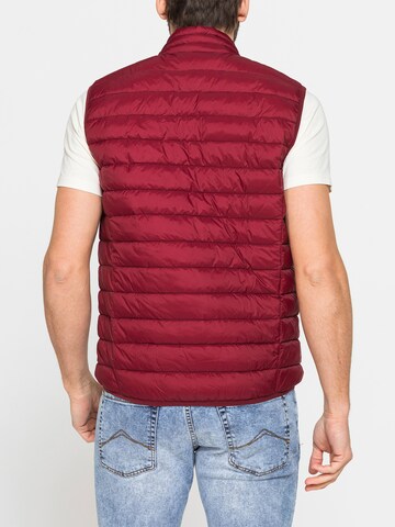 Carrera Jeans Weste 'Windproof'‌ in Rot