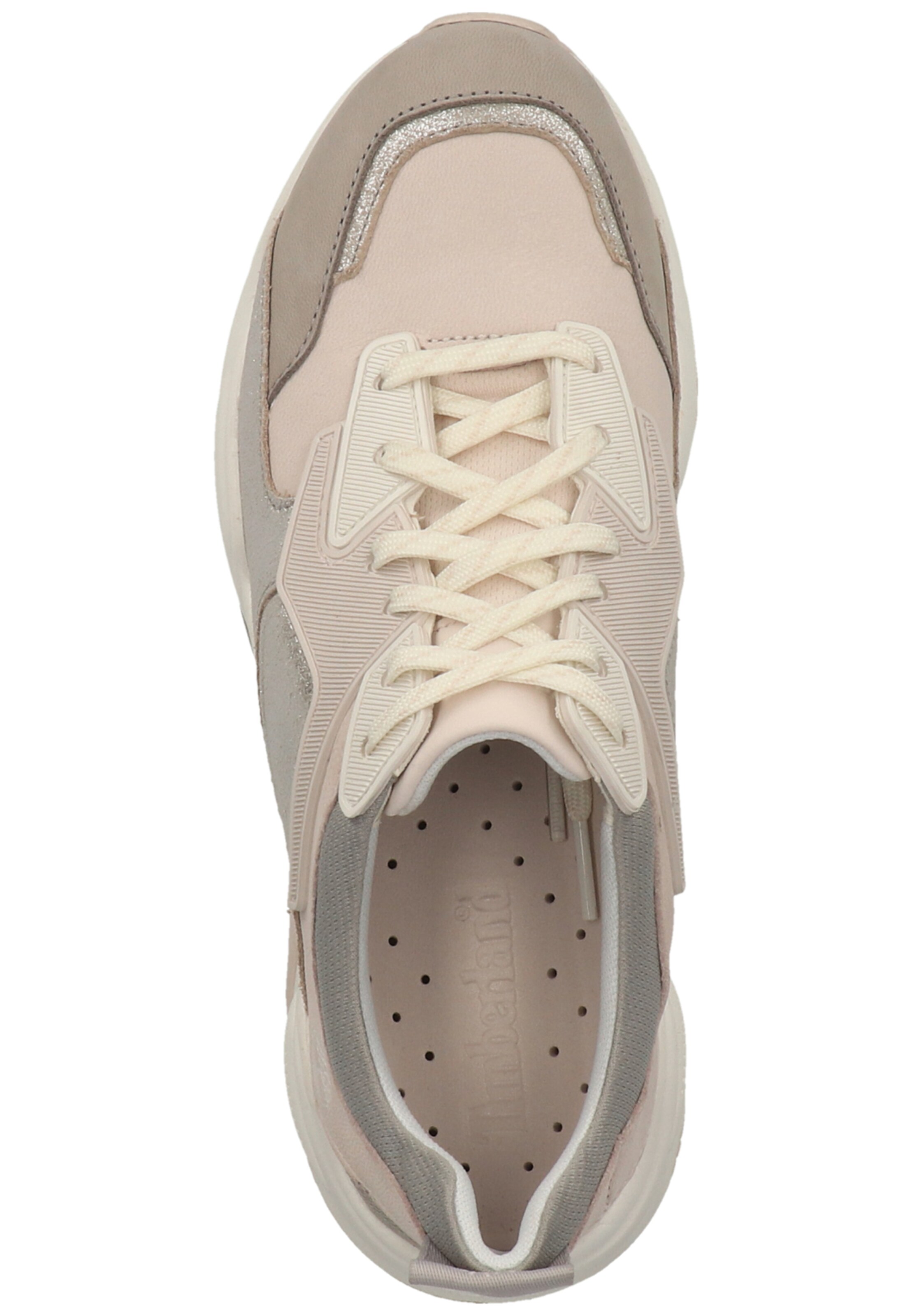 Baskets basses 'Delphiville' TIMBERLAND en gris