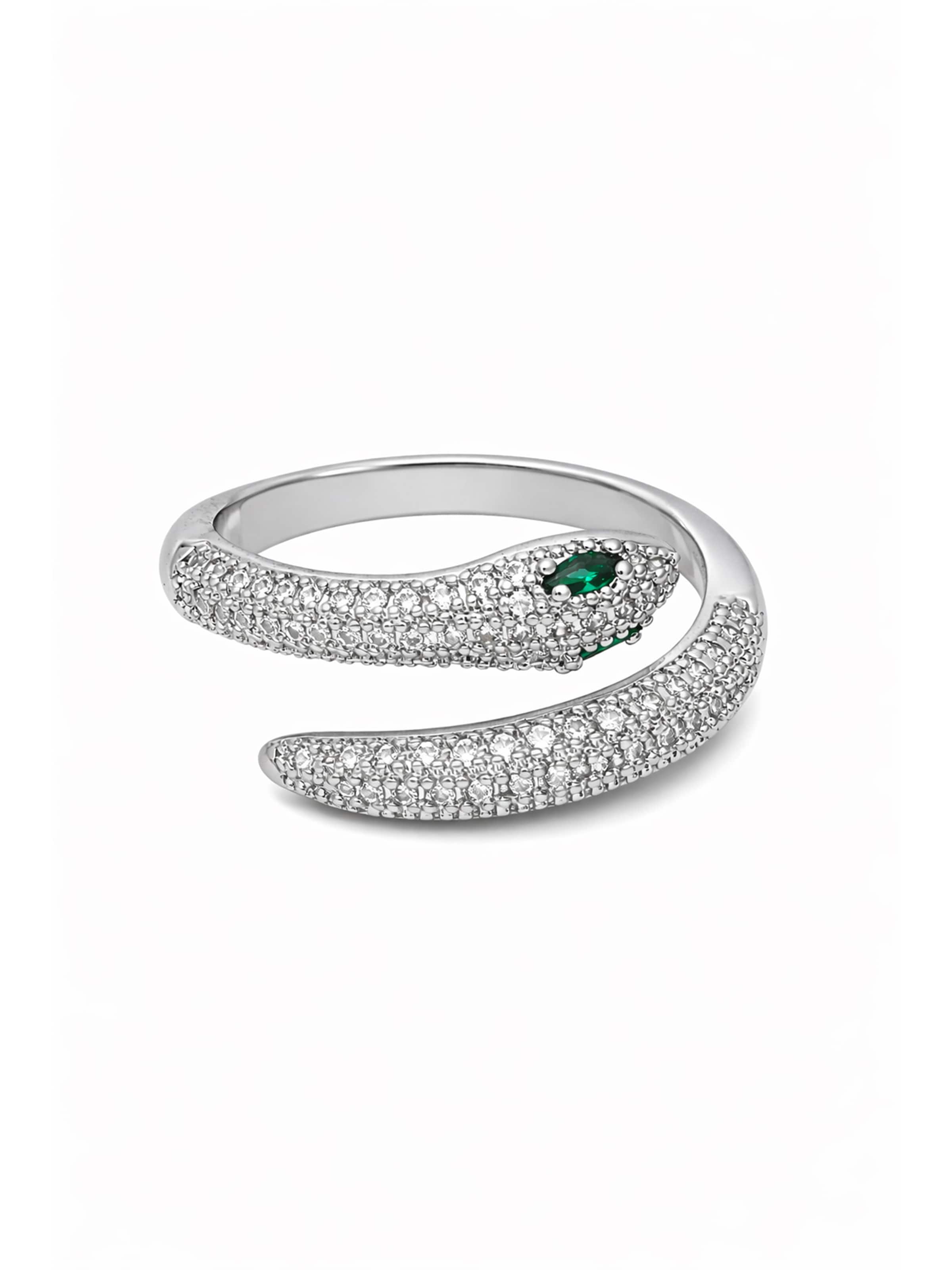 Anello 'Elyndoré' AVANT-GARDE PARIS di colore argento, Visualizzazione prodotti
