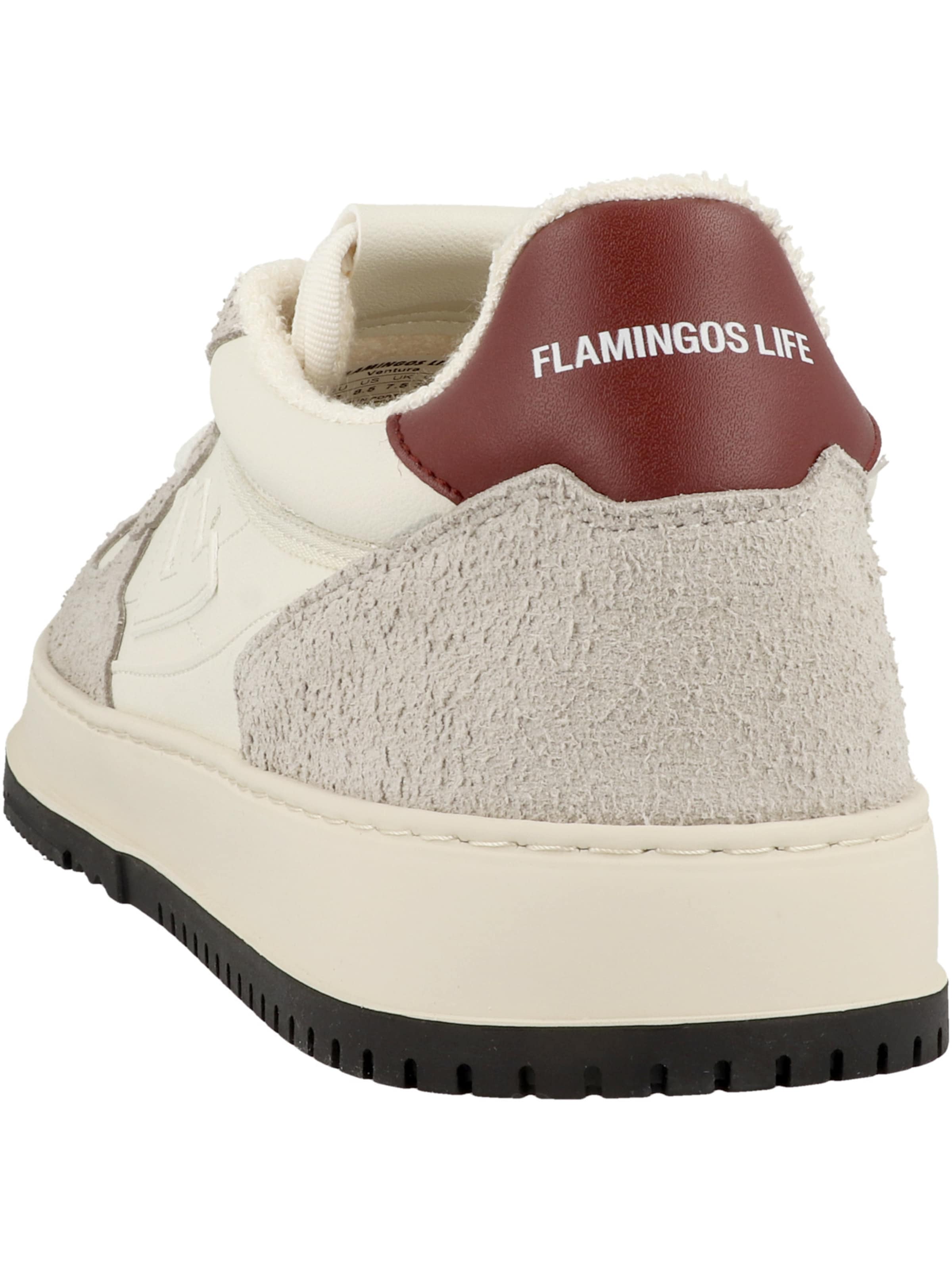 Baskets basses ' Ventura ' Flamingos' Life en gris