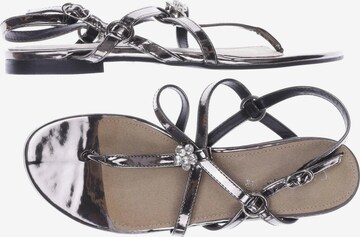 CAFÈNOIR Sandals & High-Heeled Sandals in 40 in Silver: front