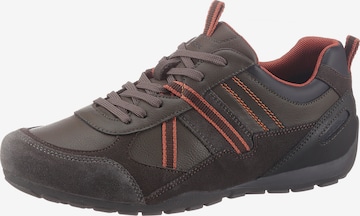 GEOX Sneaker in Braun: predná strana