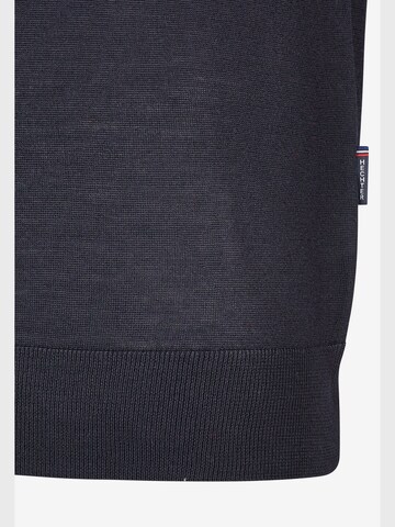 HECHTER PARIS Sweater in Blue