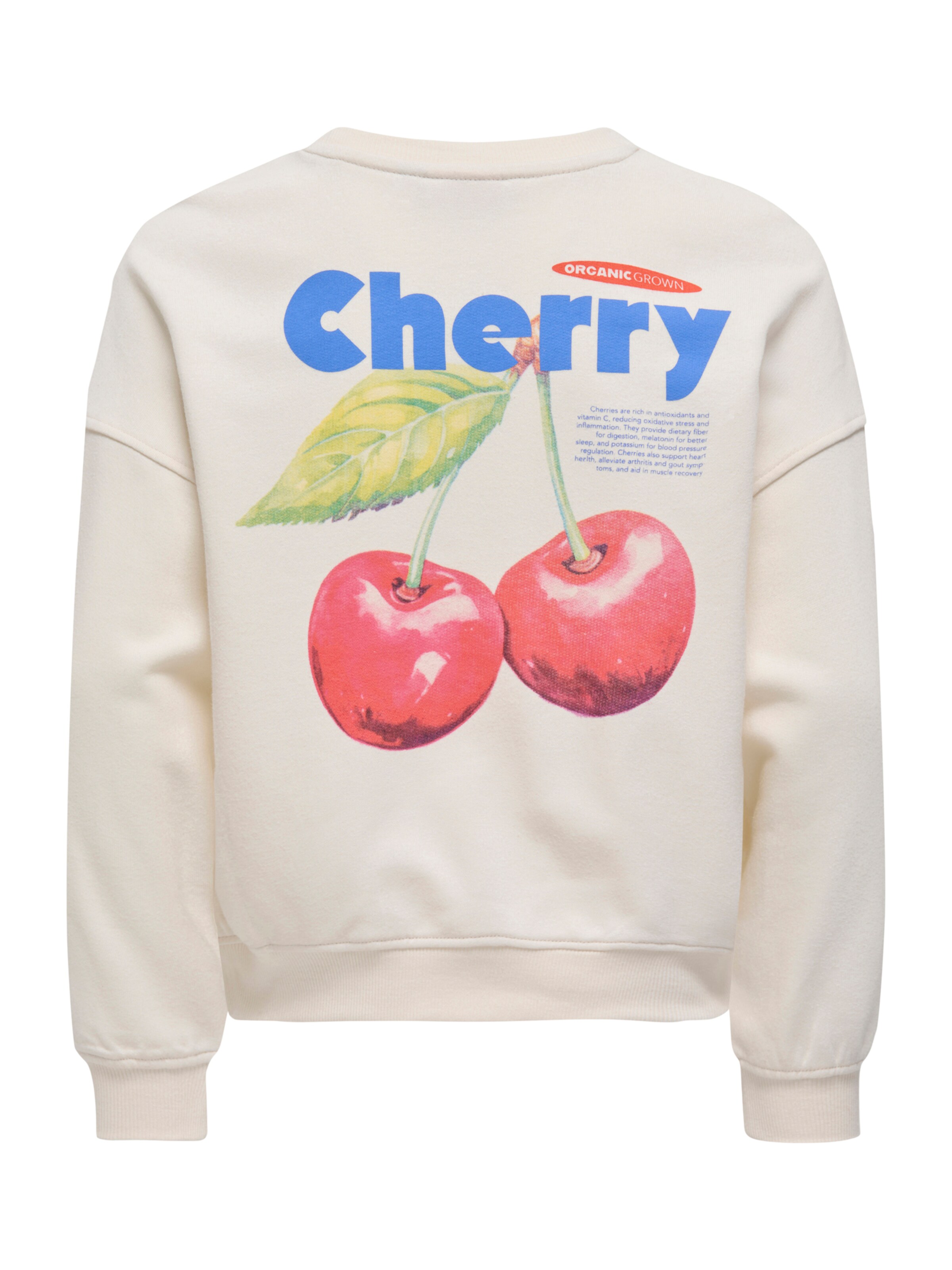 ONLY GIRLS Sweatshirt 'KOGPHILEA' in Beige