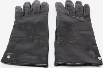 AIGNER Handschuhe M in Schwarz: predná strana