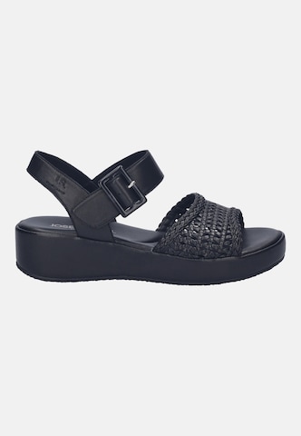 JOSEF SEIBEL Sandals in Black