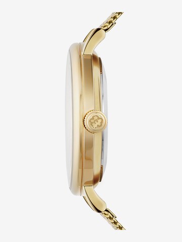 Ted Baker Analog Watch in Gold