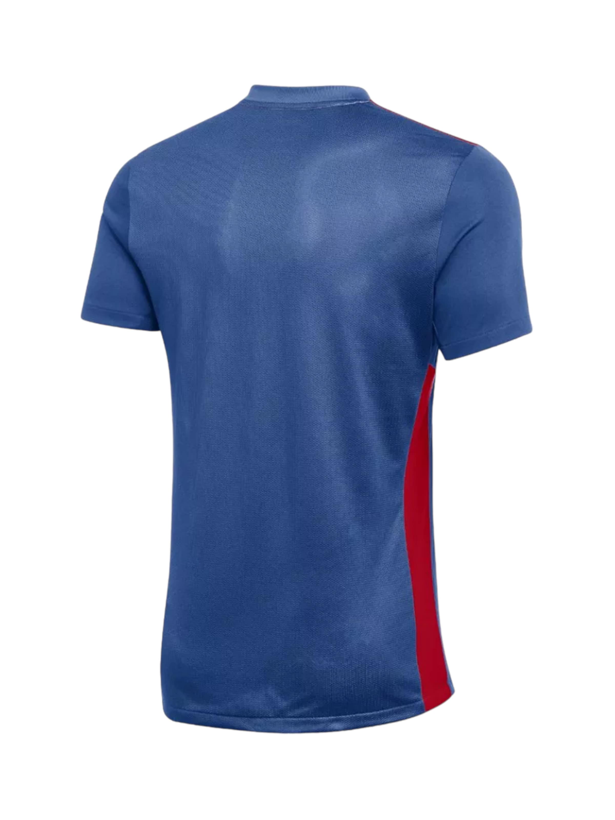 NIKE Performance Shirt in Blue
