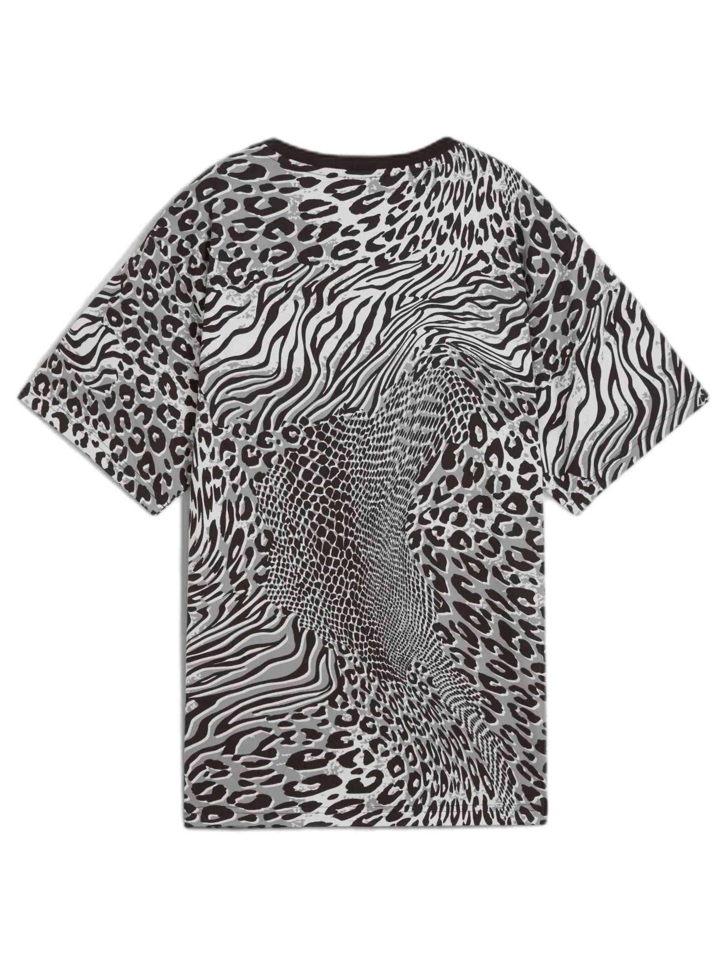 PUMA - Camiseta '077-50523016003923' en gris