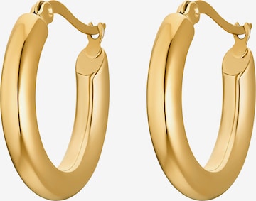 Heideman Earrings 'Cosima' in Gold