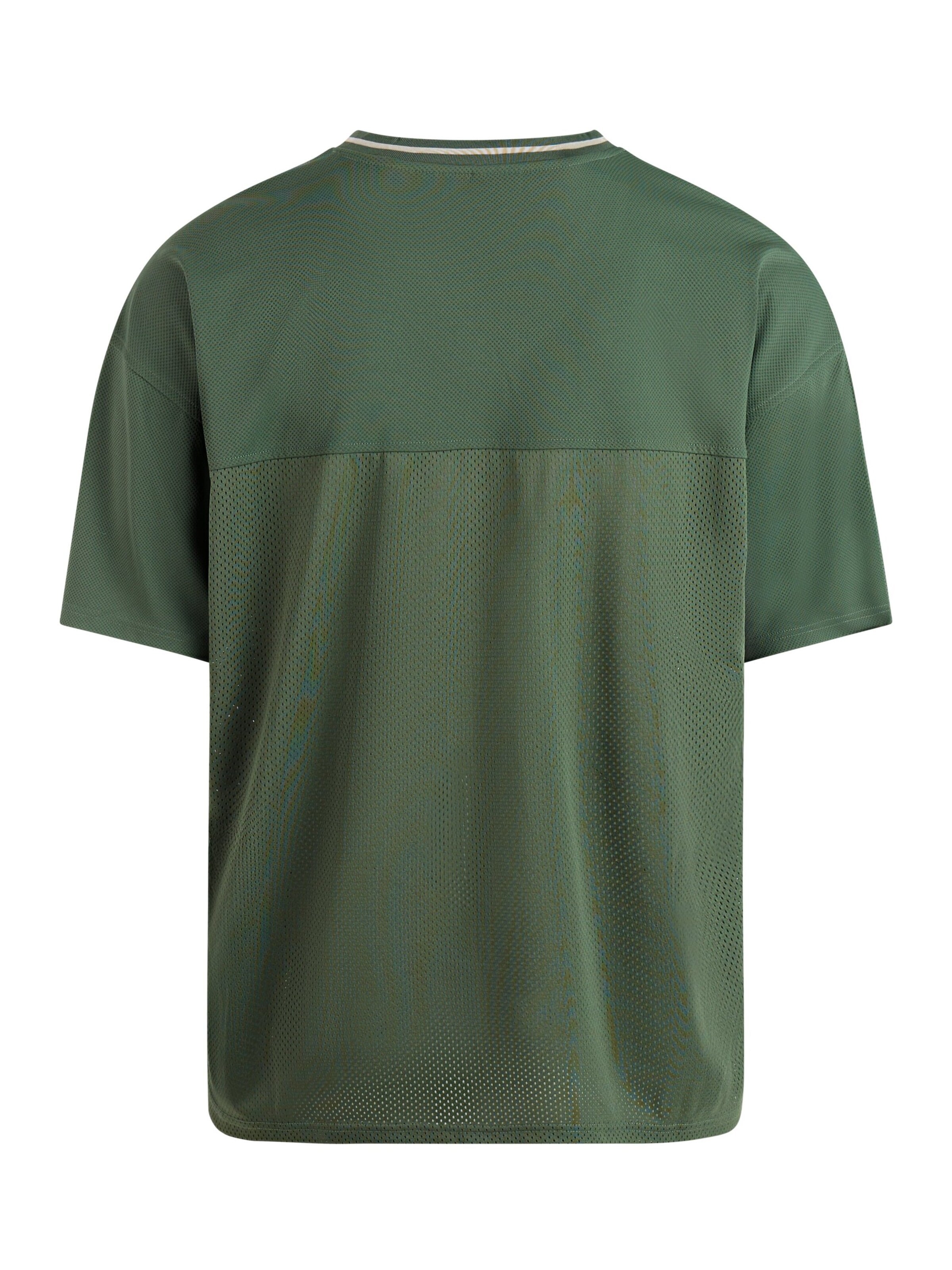 PROTEST Shirt 'PRTAinsley' in Groen
