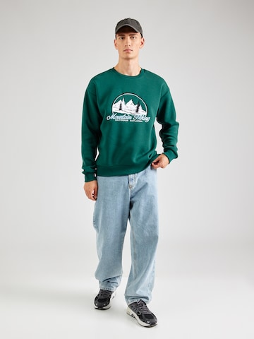 Trendyol Sweatshirt in Grün