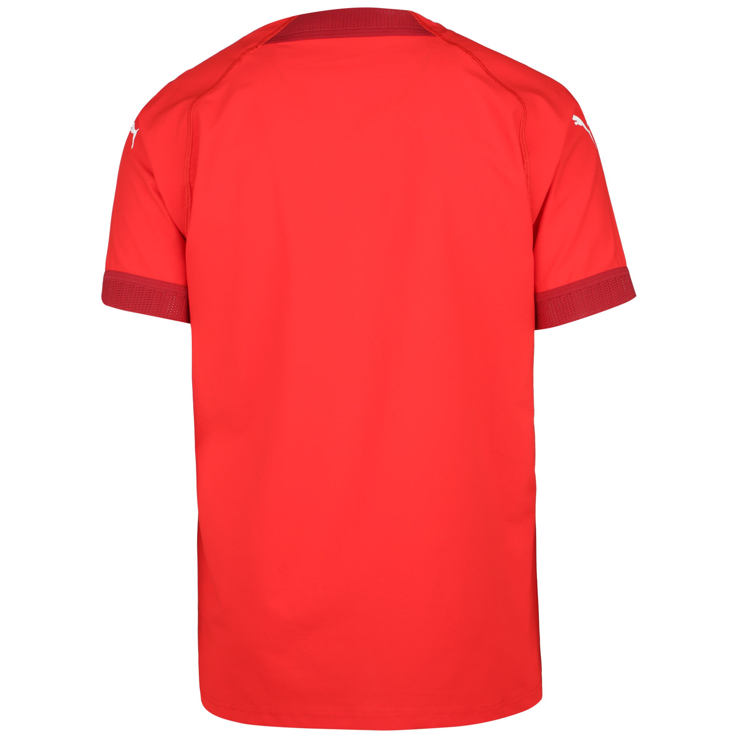 PUMA Trikot 'Team Final' in Rot