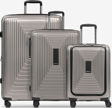 Set di valigie 'Essentials 14' di Redolz in grigio: frontale