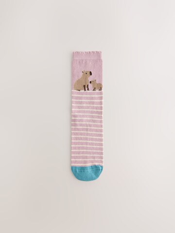 Next Socken in Beige