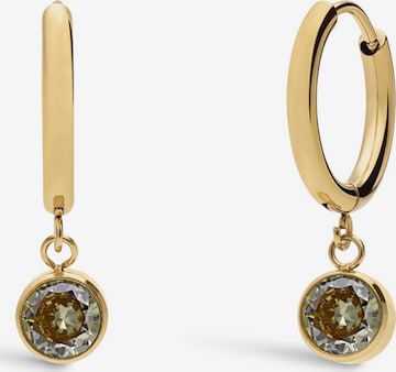 Lucardi Ohrringe in Gold: Vorderseite