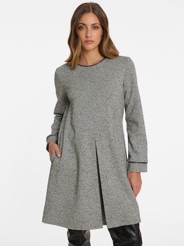 Robe 'Alina' Ana Alcazar en gris