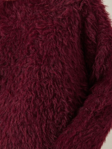 Bianco Lucci - Pullover 'Pullover' em vermelho