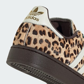 Sneaker bassa 'Superstar II' di ADIDAS ORIGINALS in marrone