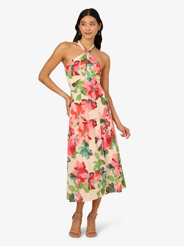 Adrianna Papell Kleid in Beige: Vorderseite