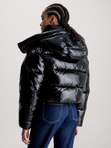 Calvin Klein Jeans Winter Jacket in Black