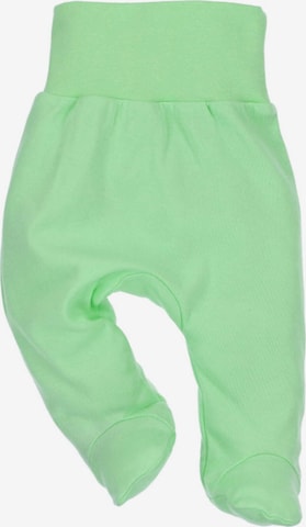 NINI Regular Pants in Green: front