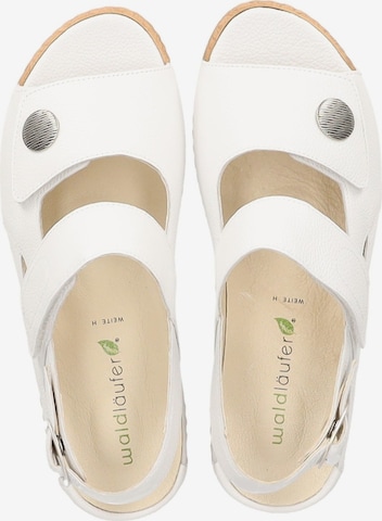 WALDLÄUFER Sandale in Weiß